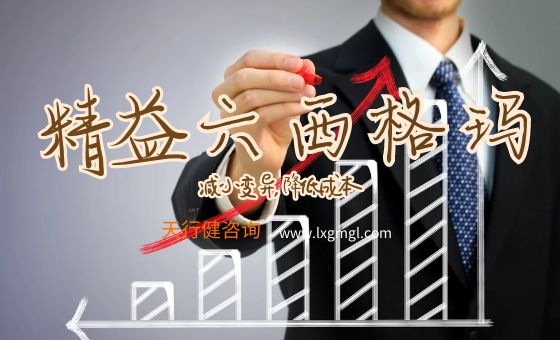 關(guān)于精益六西格瑪在企業(yè)定位的幾點思考