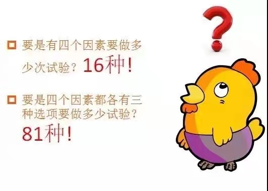 基于DOE試驗(yàn)設(shè)計科學(xué)養(yǎng)雞