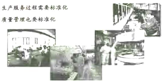 六西格瑪標(biāo)準化操作